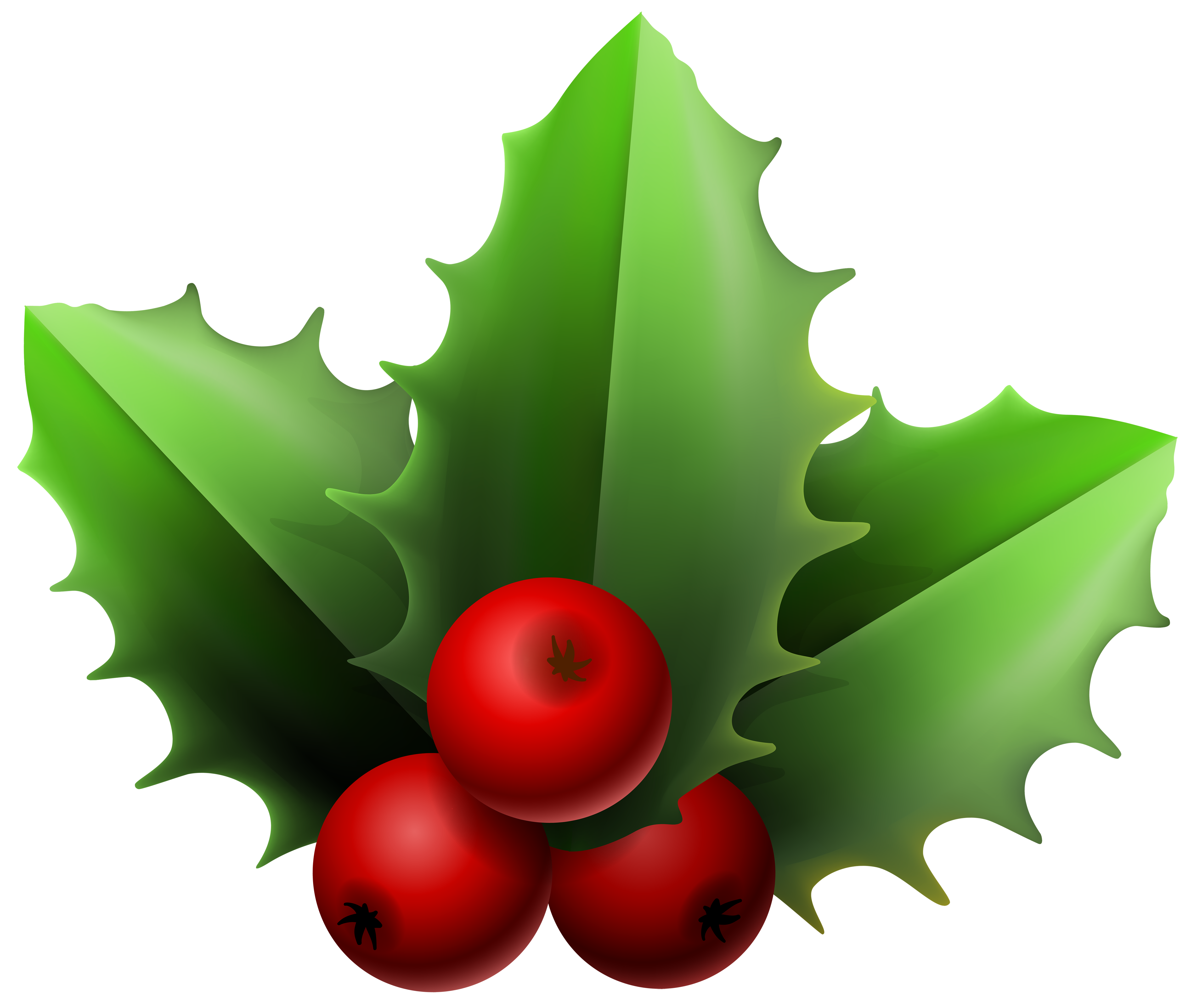 Mistletoe Clip art - Christmas Mistletoe PNG Clipart Image png download ...