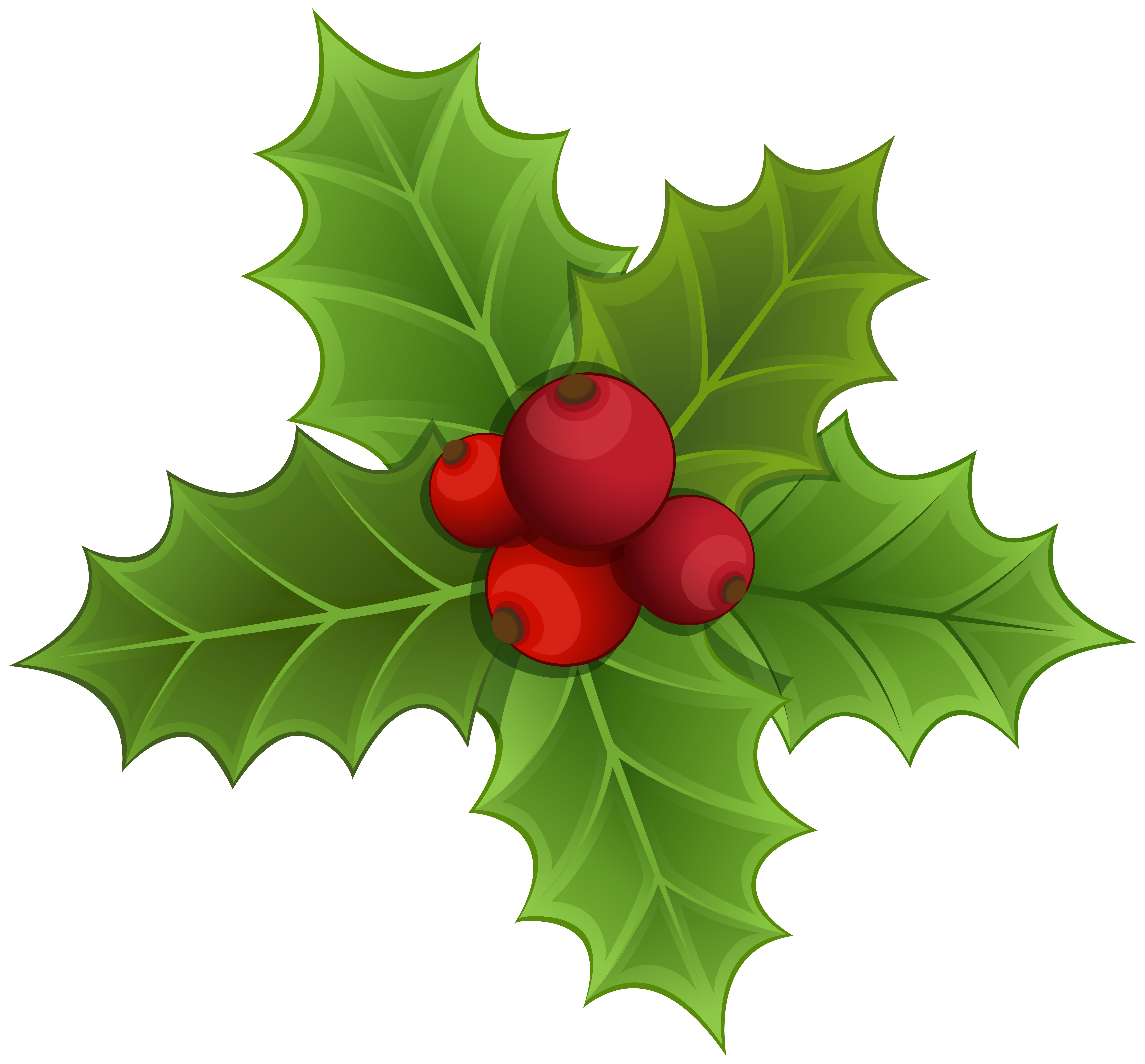 Mistletoe Christmas Clip art - Mistletoe PNG Clipart Image png download ...