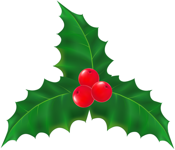 Mistletoe Plant Christmas Clip art - mistletoe png download - 600*514 ...