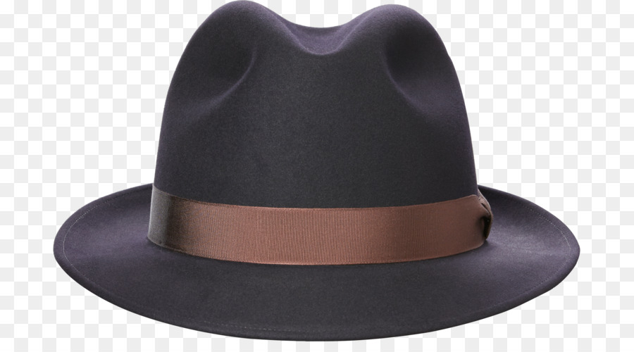 Fedora Trilby Hat Power brakes Clothing - Hat png download - 750*488 - Free Transparent Fedora png Download.