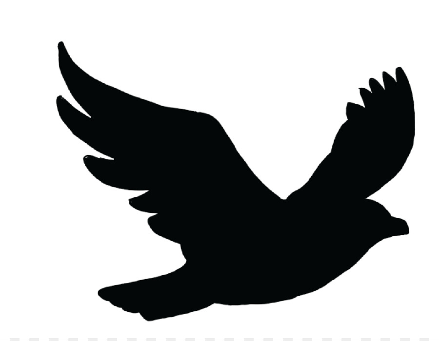 Bird Flight Swallow Columbidae Crows - gull png download - 1308*1008 - Free Transparent Bird png Download.