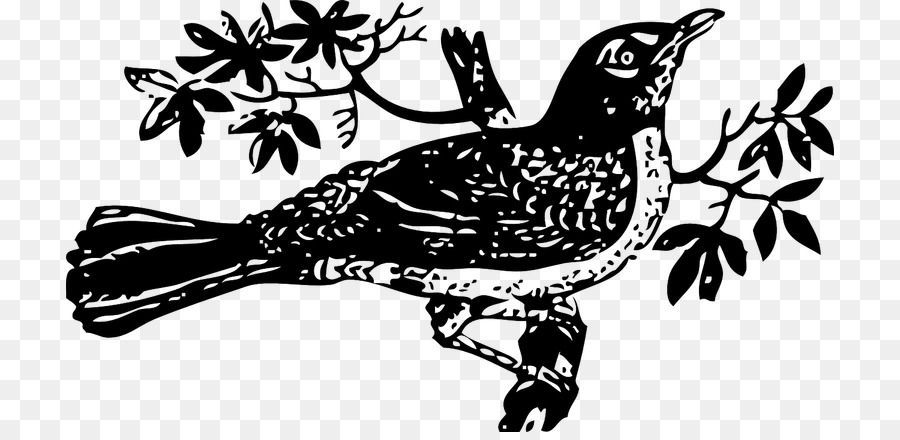 To Kill a Mockingbird Clip art - others png download - 768*432 - Free Transparent To Kill A Mockingbird png Download.
