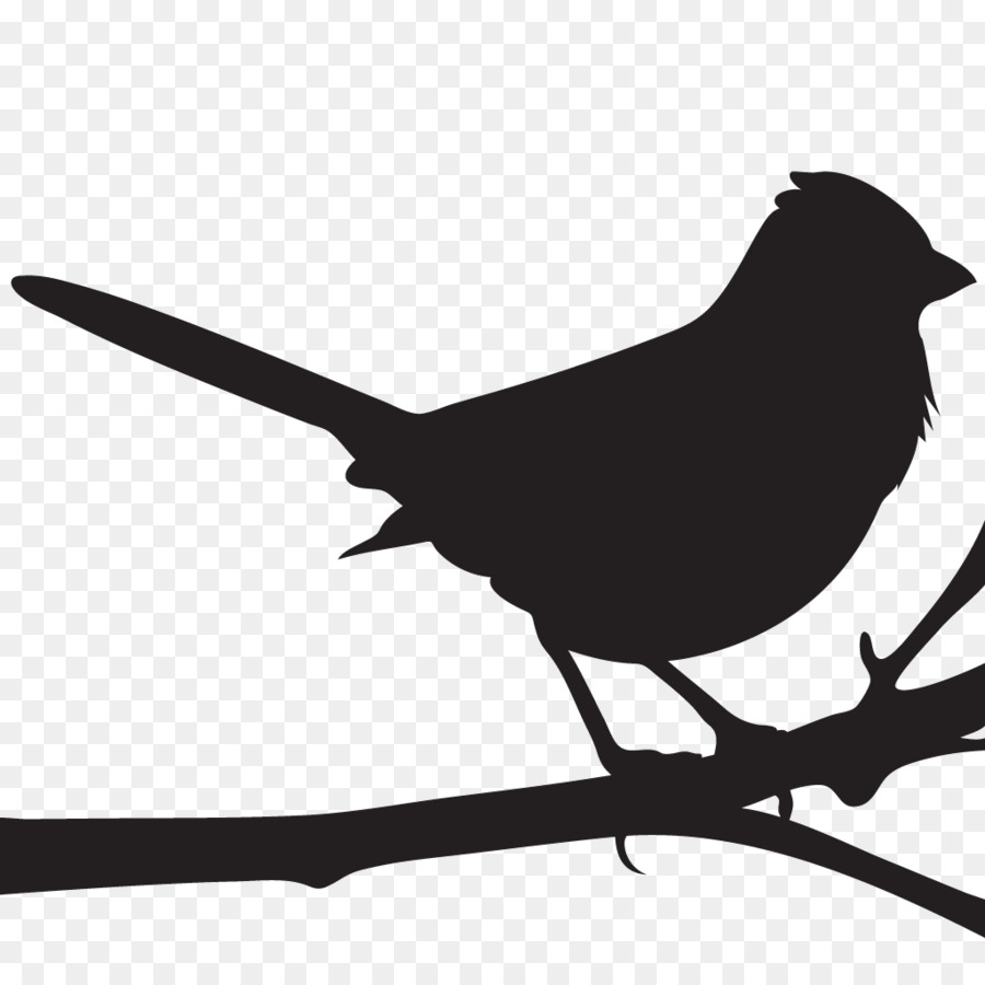 Cornell Lab of Ornithology Spotted towhee All About Birds - mockingbird png download - 1024*1024 - Free Transparent Cornell Lab Of Ornithology png Download.