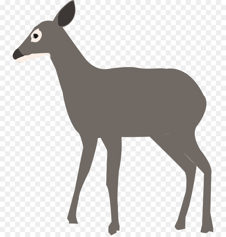 White-tailed deer Elk Antelope Clip art - deer png download - 800*934 - Free Transparent Whitetailed Deer png Download.