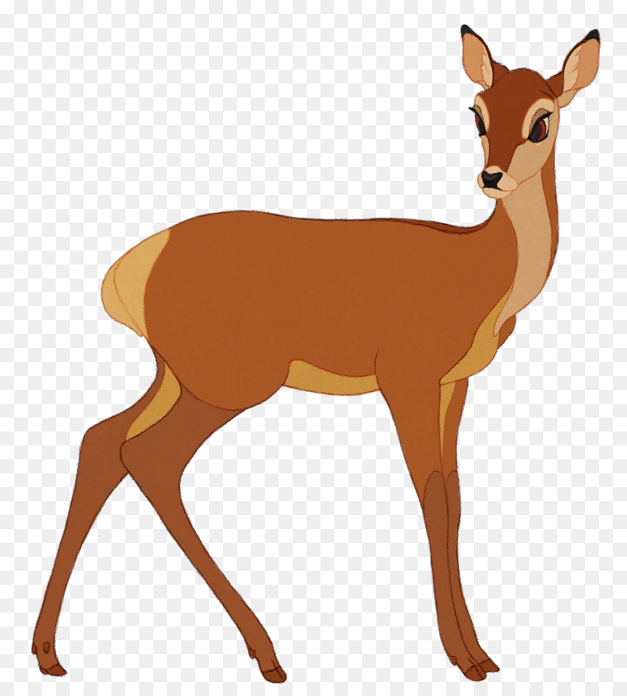 White-tailed deer Musk deers Antler Gazelle - deer png download - 1081*1200 - Free Transparent Whitetailed Deer png Download.