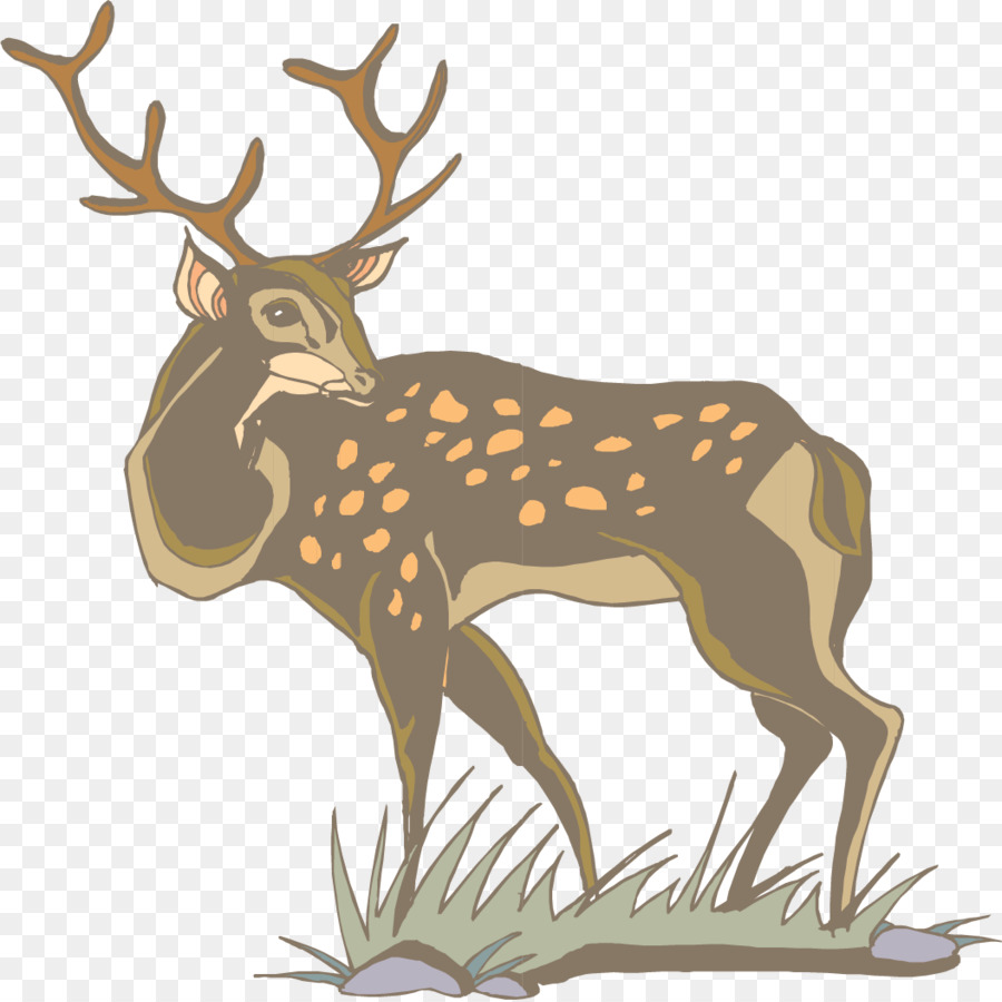 White-tailed deer Antler Clip art - Vector painted deer back png download - 1054*1052 - Free Transparent Whitetailed Deer png Download.
