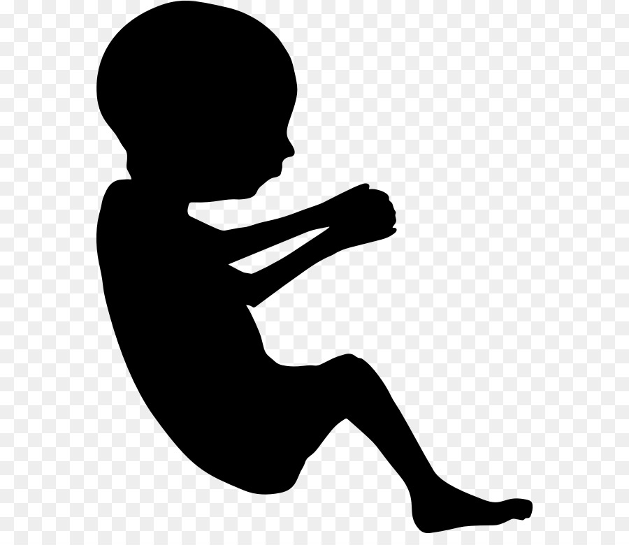 Fetus Pregnancy Mother Placenta Clip art - mom vector png download - 626*763 - Free Transparent Fetus png Download.