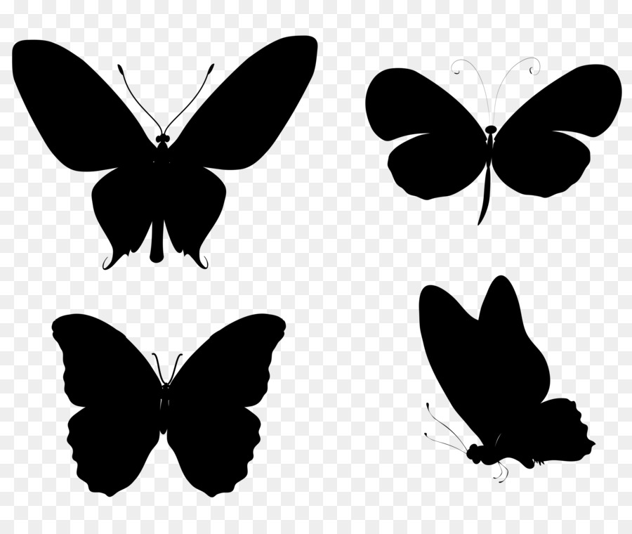 Monarch butterfly Insect Silhouette Drawing -  png download - 3941*3261 - Free Transparent Monarch Butterfly png Download.