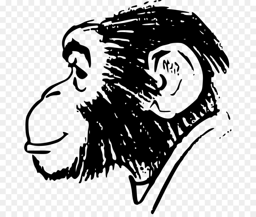 Ape Chimpanzee Drawing Vector graphics Monkey - human silhouette png behavior png download - 729*750 - Free Transparent Ape png Download.