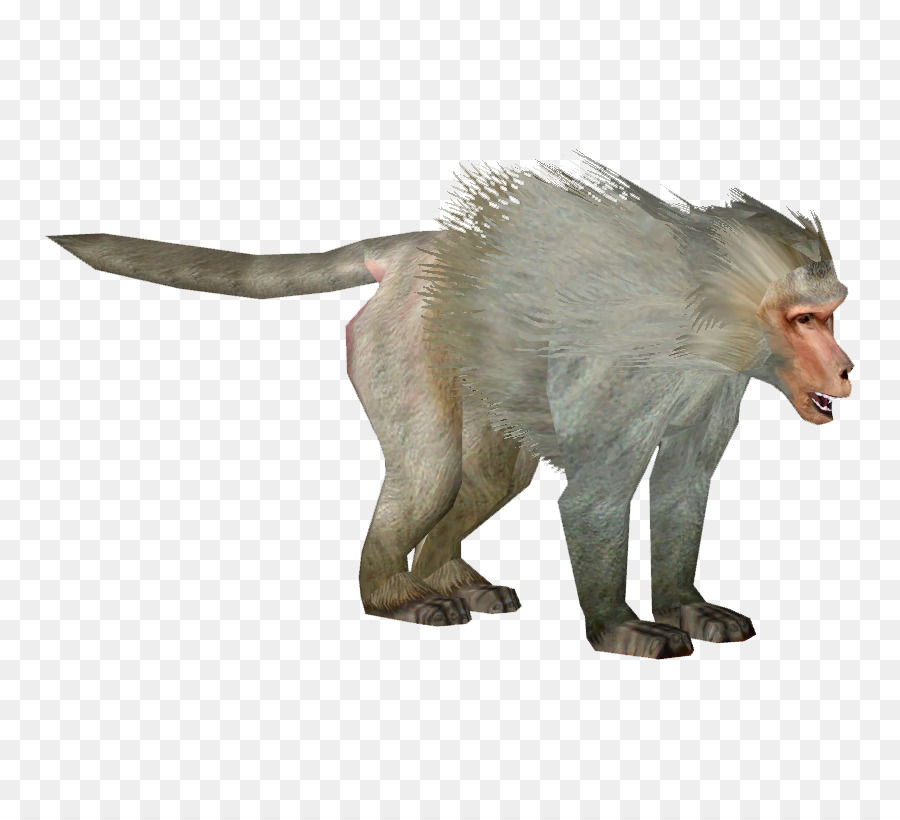 Old world monkeys Hamadryas baboon Portable Network Graphics Clip art Transparency - clapping monkey png download - 810*810 - Free Transparent Old World Monkeys png Download.
