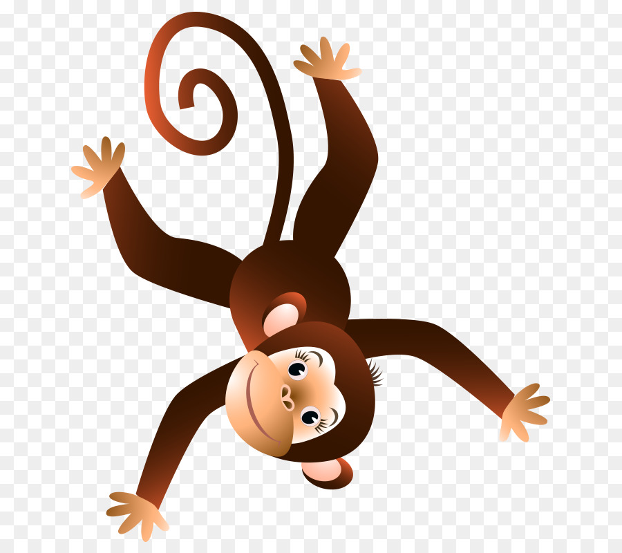 Chimpanzee Vector graphics Illustration Monkey Royalty-free - cute baby monkey png download - 800*800 - Free Transparent Chimpanzee png Download.