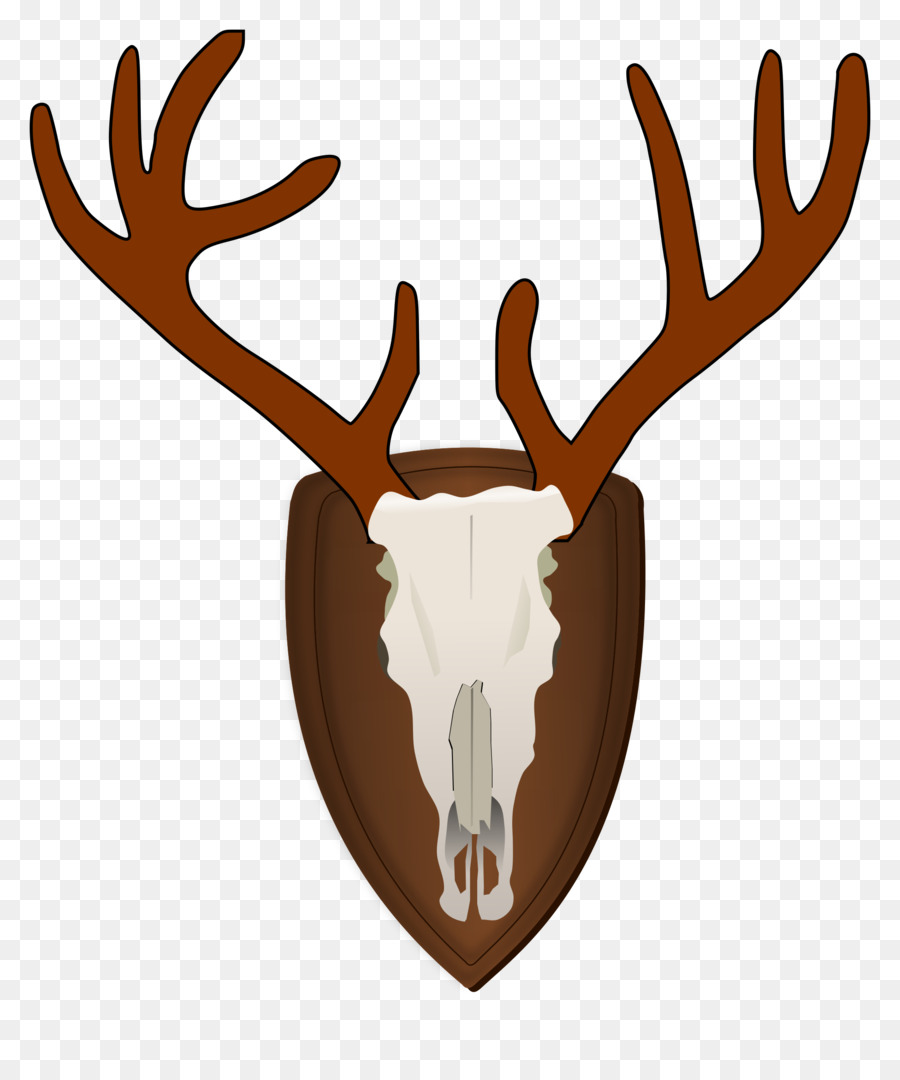 White-tailed deer Moose Antler Clip art - Free Deer Pictures png ...