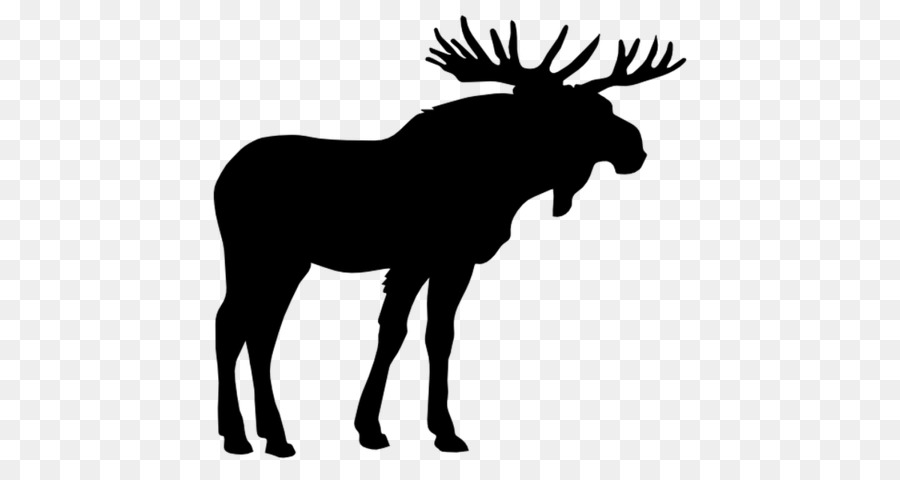 Moose Elk Deer Clip art - deer png download - 1200*630 - Free Transparent Moose png Download.