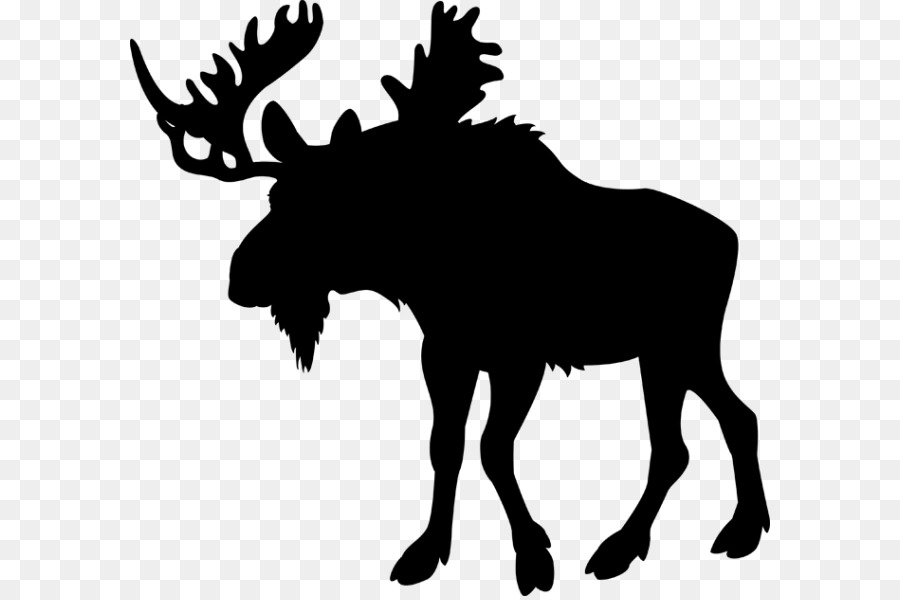 Clip art Moose Deer Illustration Vector graphics -  png download - 640*596 - Free Transparent Moose png Download.