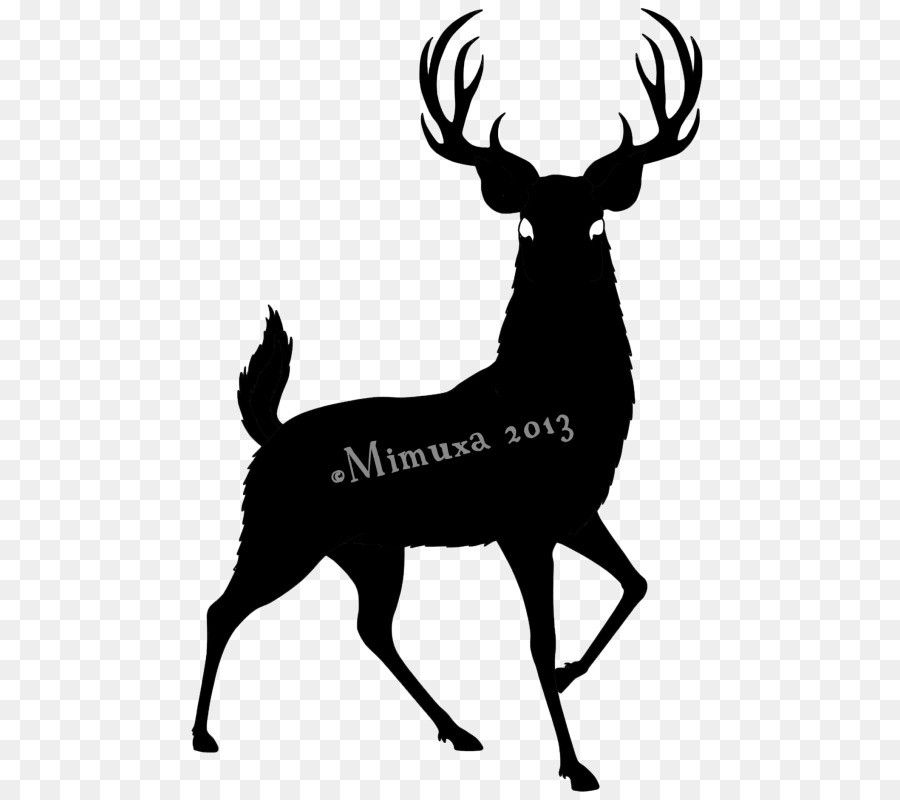 White-tailed deer Moose Clip art Vector graphics - deer png download ...