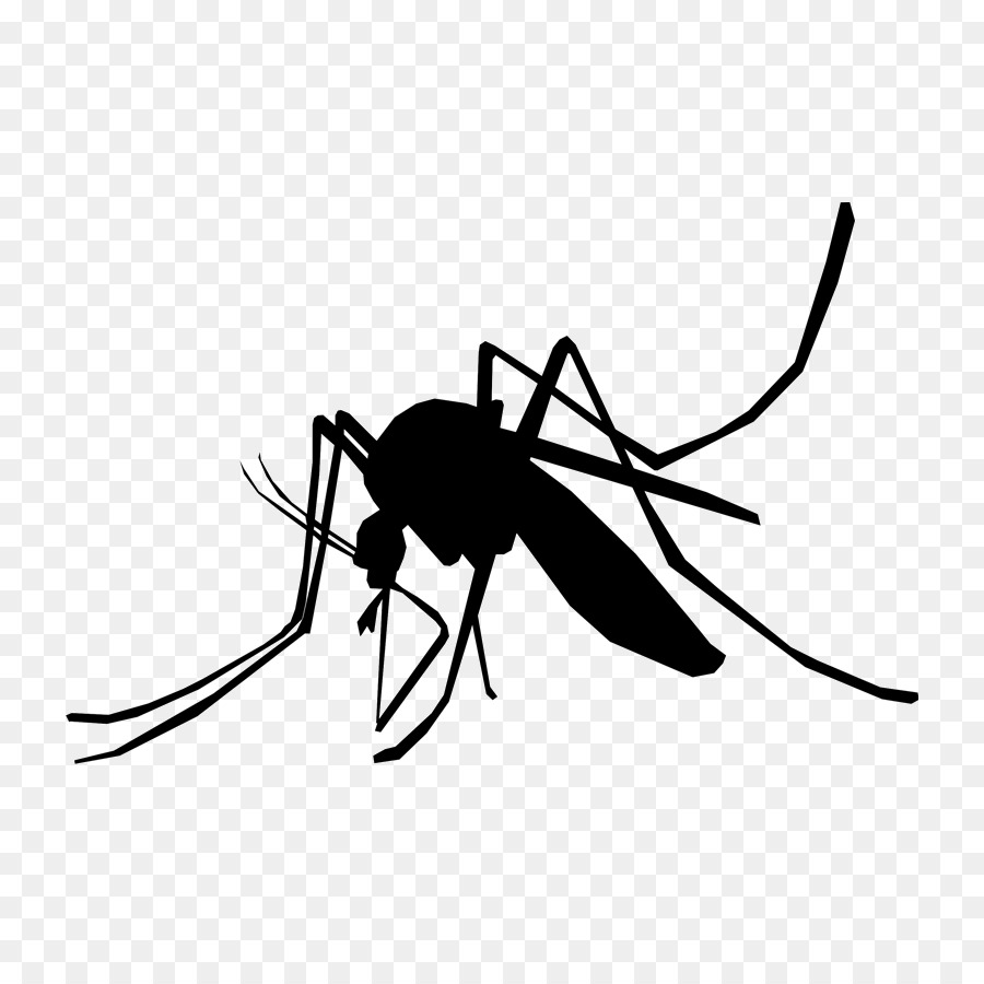 Household Insect Repellents Mosquito control Pest Control Zika virus - insect png download - 780*900 - Free Transparent Insect png Download.
