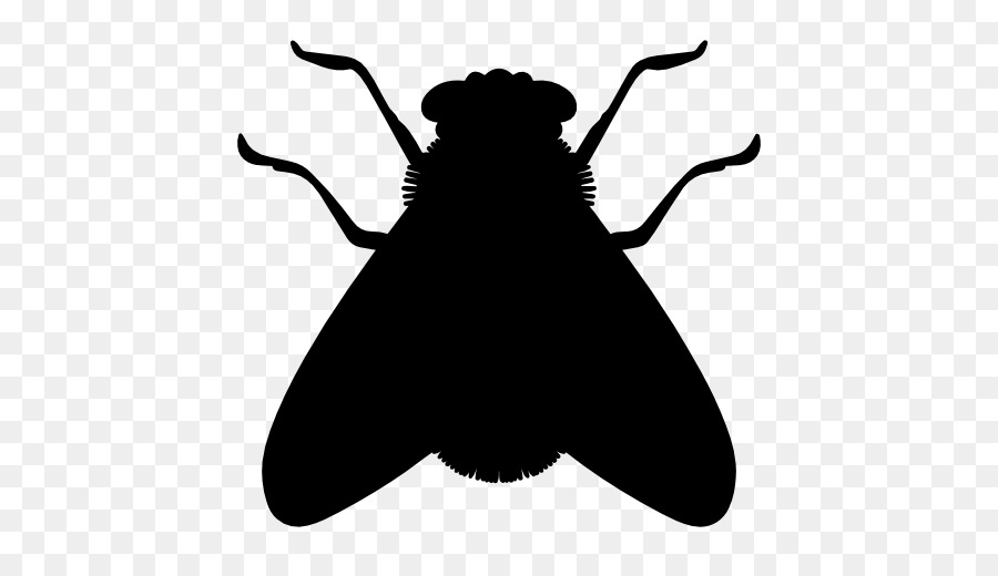 Insect Fly Icon - Silhouette flies png download - 512*512 - Free Transparent Insect png Download.