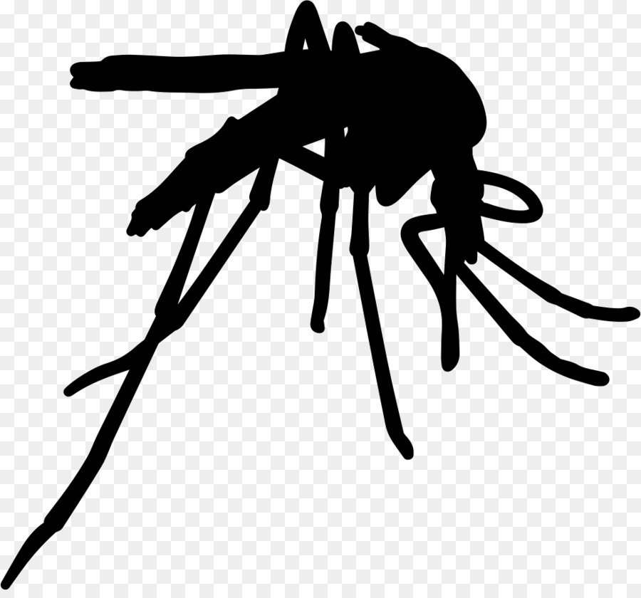 Insect Yellow fever mosquito Pest Control Vector Zika fever - insect png download - 982*904 - Free Transparent Insect png Download.
