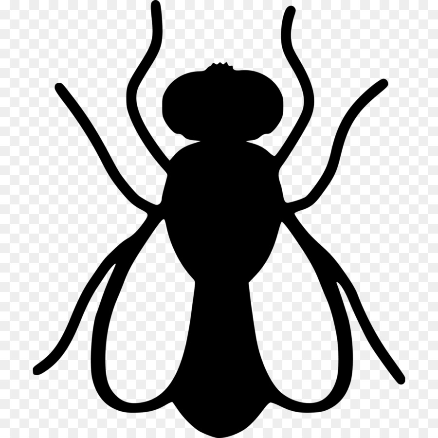 Mosquito Pest Control Cockroach Housefly - flies png download - 1200*1200 - Free Transparent Mosquito png Download.