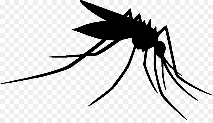 Mosquito Clip art Insect Silhouette Line art -  png download - 980*554 - Free Transparent Mosquito png Download.