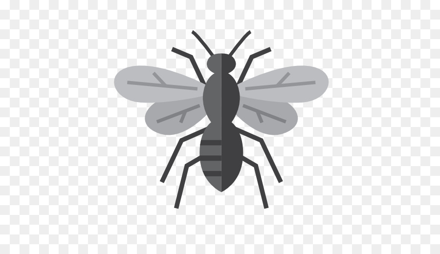 Insect Mosquito Pest Control Ant - wasp png download - 512*512 - Free Transparent Insect png Download.