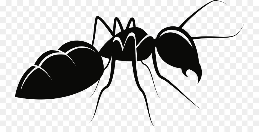 Ant Insect Vector graphics Clip art Drawing - antpng silhouette png download - 797*449 - Free Transparent Ant png Download.