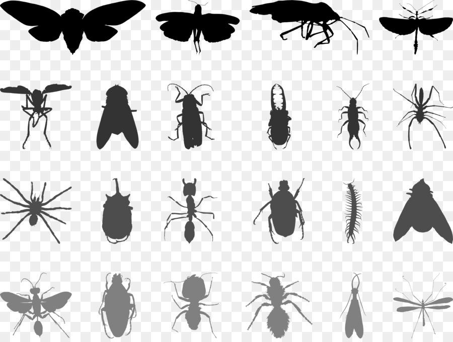 Mosquito Insect Butterfly Ant - Flies mosquitoes png download - 3039*2272 - Free Transparent Mosquito png Download.