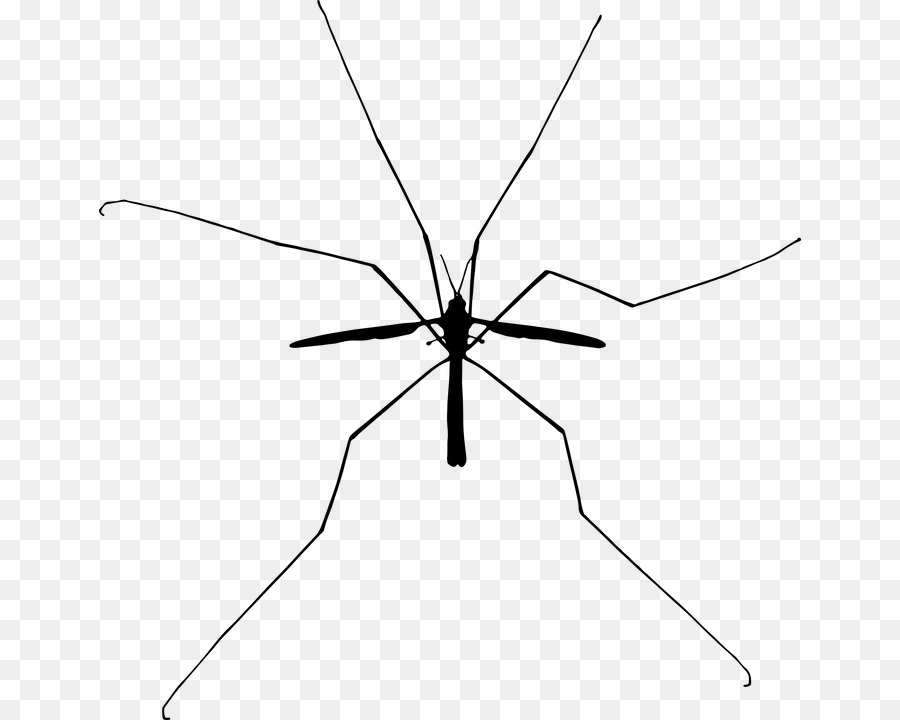 Mosquito Insect Silhouette Clip art - mosquito png download - 702*720 - Free Transparent Mosquito png Download.