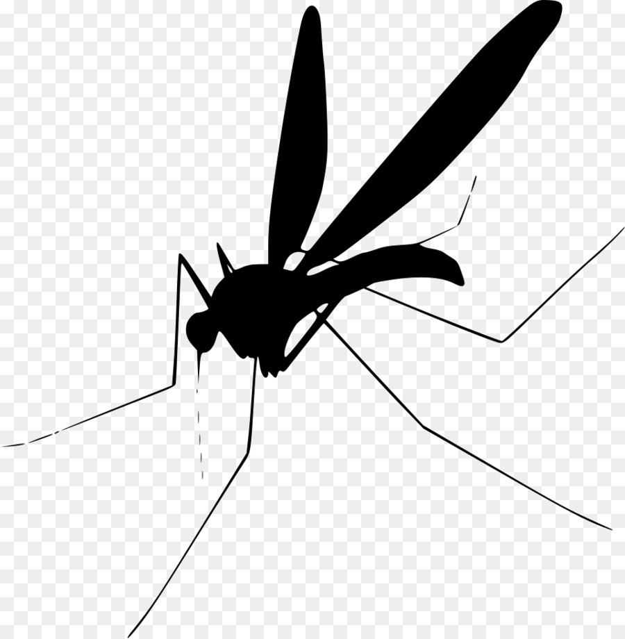 Mosquito control Computer Icons Clip art - fly png download - 960*980 - Free Transparent Mosquito png Download.