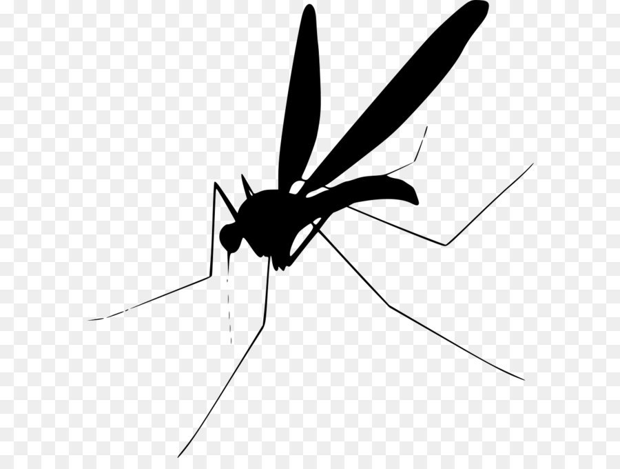 Mosquito Can Stock Photo Royalty-free Clip art - Mosquito PNG png download - 960*980 - Free Transparent Mosquito png Download.