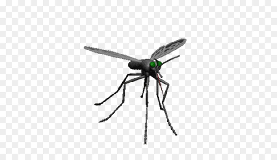 Mosquito control Insect Pest Control - mosquito png download - 512*512 - Free Transparent Mosquito png Download.