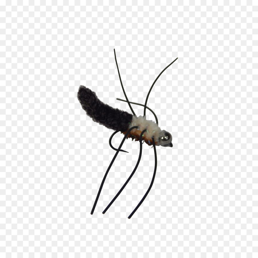 Mosquito Insect Pollinator Membrane - mosquito png download - 3456*3456 - Free Transparent Mosquito png Download.