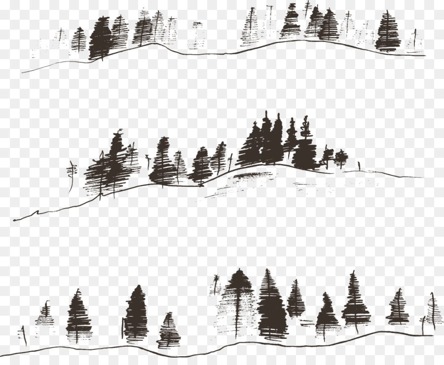 Fir Engraving Drawing Contour - Vector lines mountain woods png download - 975*785 - Free Transparent Fir png Download.