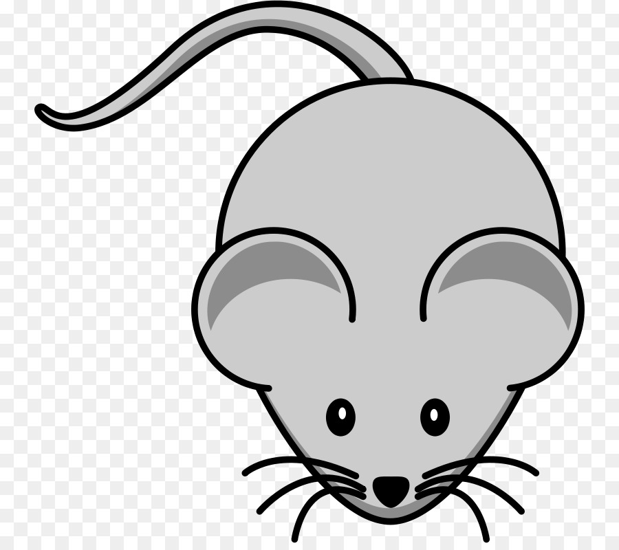 Rat Mouse Free content Clip art - Free Sheep Clipart png download - 800*790 - Free Transparent Rat png Download.