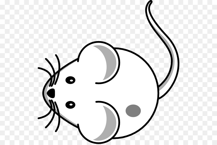 Computer mouse Whiskers Drawing Clip art - Computer Mouse png download - 588*596 - Free Transparent Computer Mouse png Download.