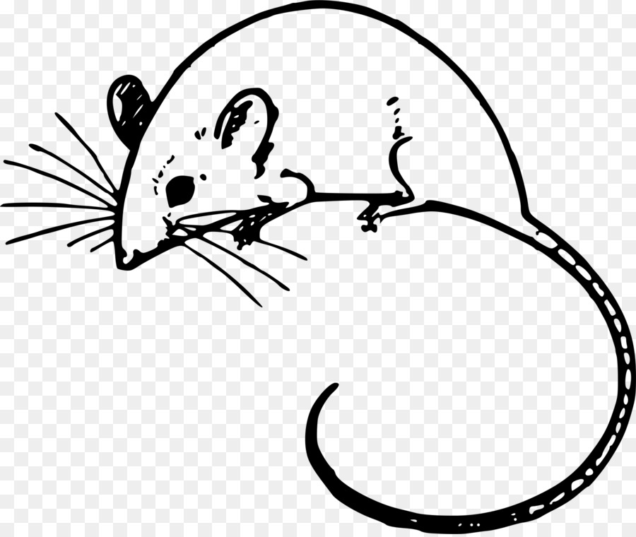 Computer mouse Minnie Mouse Clip art - Rat & Mouse png download - 2000*1680 - Free Transparent Computer Mouse png Download.