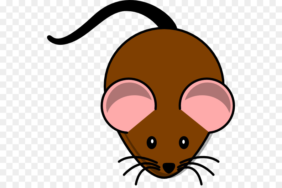 Computer mouse Rat Free content Clip art - Cute Mouse Clipart png download - 600*592 - Free Transparent Computer Mouse png Download.
