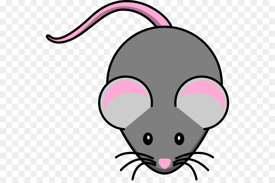 Computer mouse House mouse Rat Free content Clip art - Cute Cartoon Mouse Pictures png download - 600*592 - Free Transparent Computer Mouse png Download.