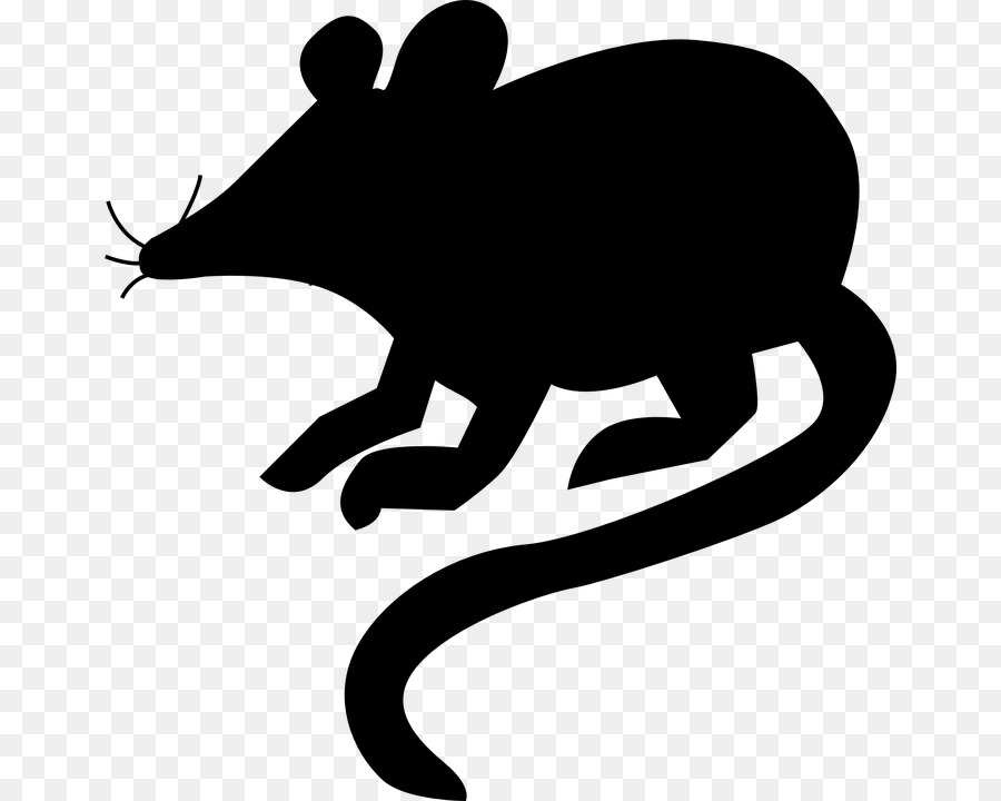 Computer mouse Rat Clip art - mouse png download - 713*720 - Free Transparent Mouse png Download.