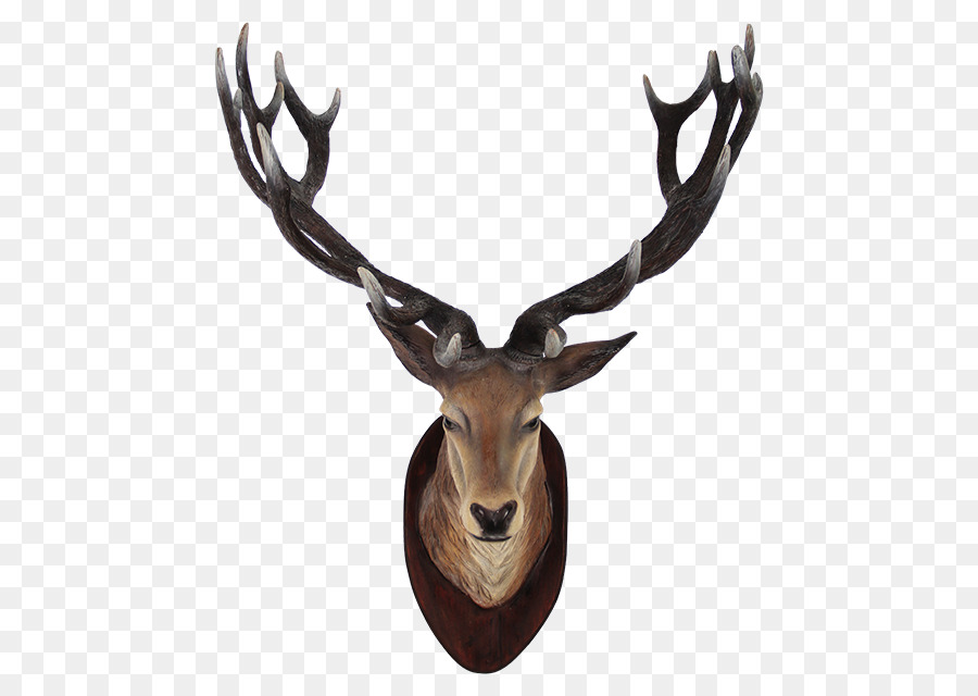 Sika deer - Deer Head Transparent PNG png download - 640*640 - Free Transparent Deer png Download.