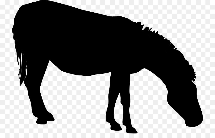 Mule Mustang Mare Stallion Halter -  png download - 800*561 - Free Transparent Mule png Download.