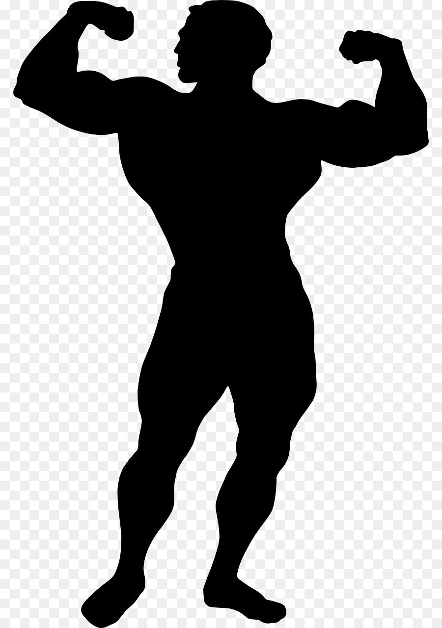 Muscle Arm Clip art - arm png download - 846*1280 - Free Transparent Muscle png Download.