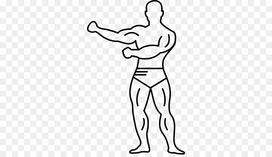 Human body Muscle Drawing Muscular system - milk strong muscles shape png download - 512*512 - Free Transparent  png Download.