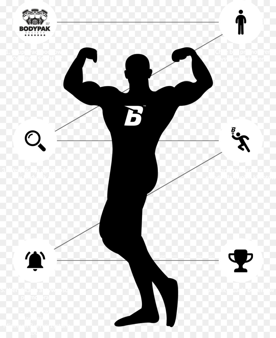 Muscle Muscular system Human body Biceps - running man png download - 935*1136 - Free Transparent  png Download.