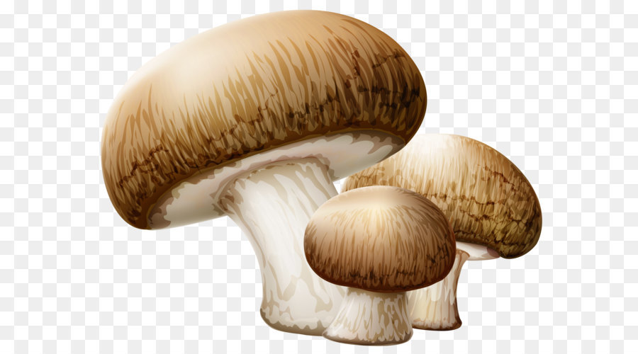 Mushroom Clip art - Mushrooms PNG Clipart Picture png download - 5148*3934 - Free Transparent Common Mushroom png Download.