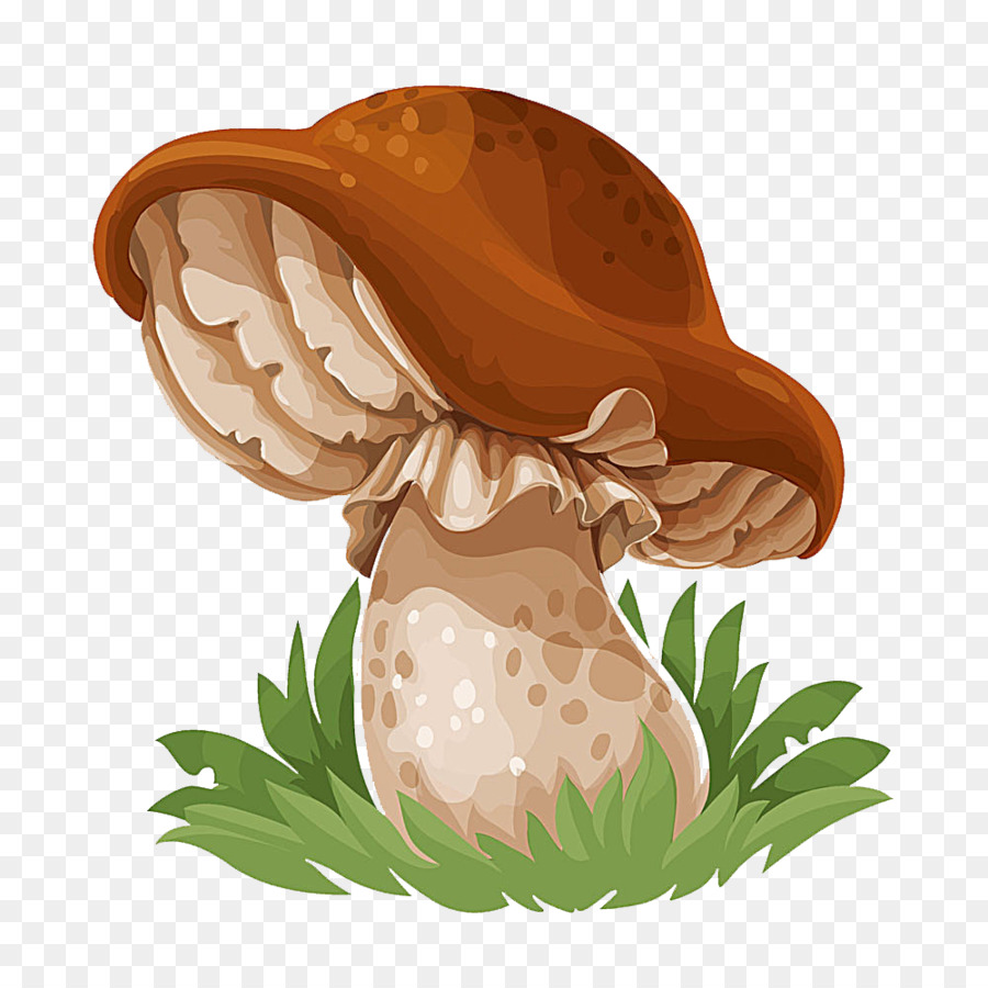 Common mushroom Drawing Edible mushroom - mushroom png download - 1000*1000 - Free Transparent Mushroom png Download.