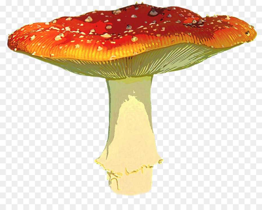 Mushroom Clip art - Amanita Muscaria PNG Transparent Image png download - 901*720 - Free Transparent Mushroom png Download.