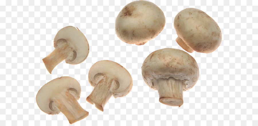 Common mushroom Fungus Food Mushroom poisoning - White mushrooms PNG image png download - 2981*1990 - Free Transparent Mushroom png Download.