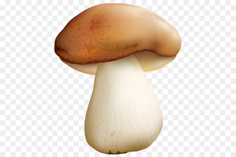 Edible mushroom Food Common mushroom - mushroom png download - 507*600 - Free Transparent Mushroom png Download.