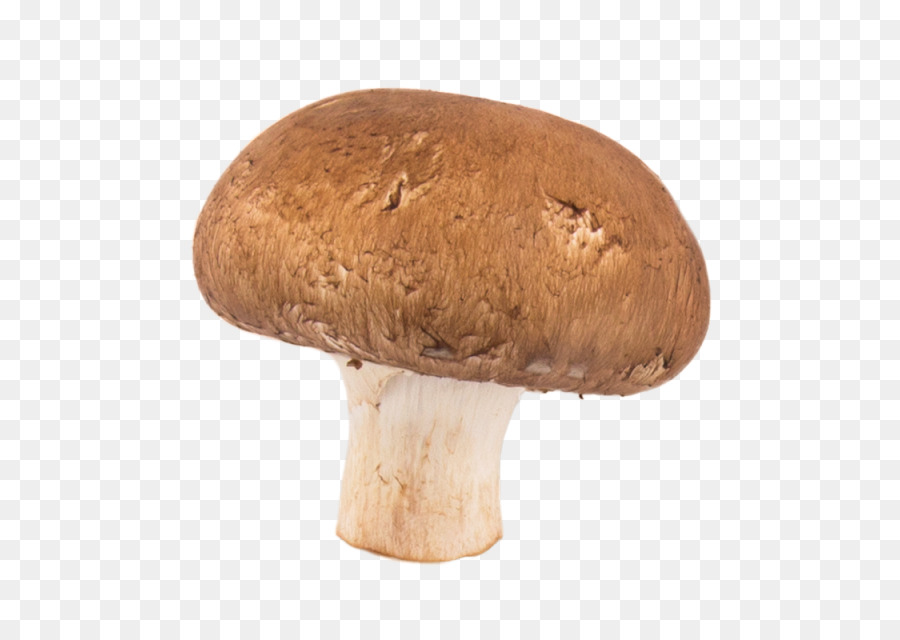 Common mushroom Pizza Hamburger Stuffed mushrooms - pizza png download - 640*640 - Free Transparent Common Mushroom png Download.
